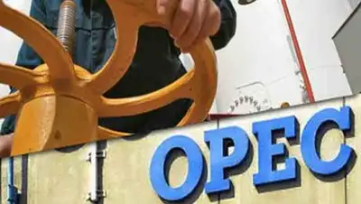 Zakon.kz, фото - Новости Zakon.kz от 08.07.2016 22:12