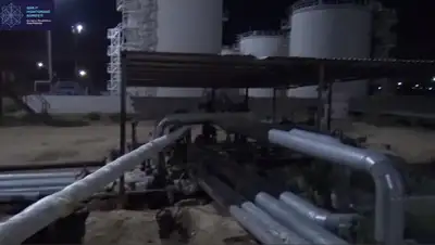 кадр из видео, фото - Новости Zakon.kz от 21.05.2020 10:29