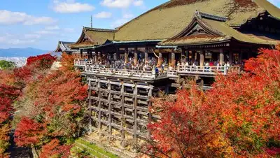 Boombate.com, фото - Новости Zakon.kz от 05.12.2018 01:29