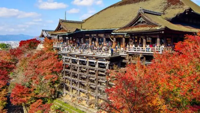 Аномально теплая погода установилась в Японии в начале зимы