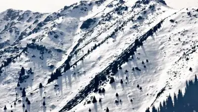 Казинформ, фото - Новости Zakon.kz от 29.12.2018 08:53