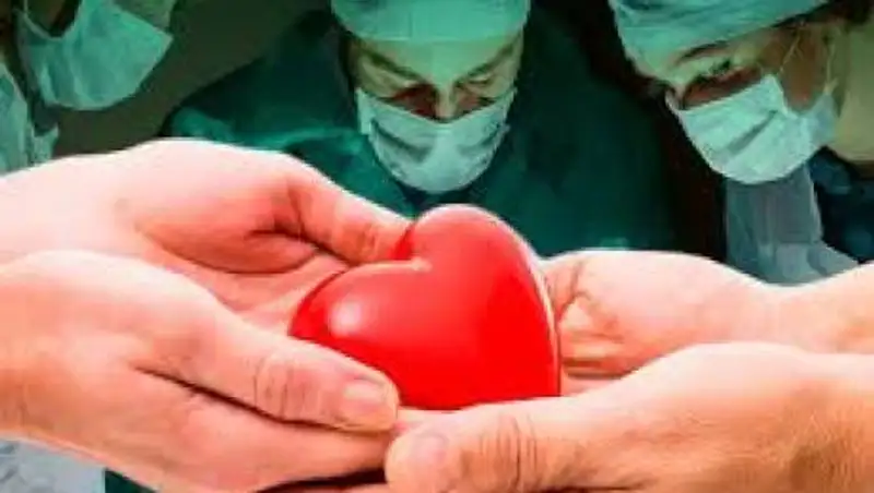 Как дать согласие или отказаться от посмертного донорства органов