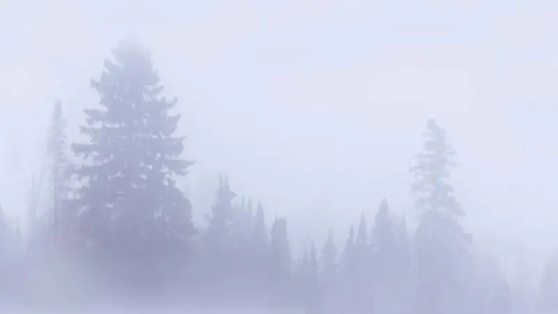 Туман, ветер, снег: прогноз погоды в Казахстане на 22 сентября