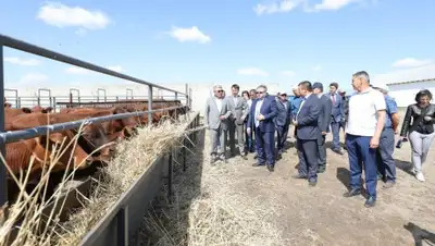 пресс-служба, фото - Новости Zakon.kz от 07.08.2019 11:02