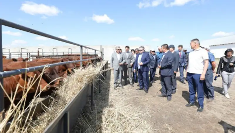 5,7 млрд тенге выделили на развитие животноводства Актюбинской области