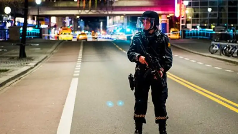 Норвегия уведомила посольство РФ о задержании подростка за незаконное хранение взрывчатки  