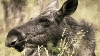 Zakon.kz, фото - Новости Zakon.kz от 04.12.2014 15:36