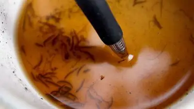 Zakon.kz, фото - Новости Zakon.kz от 01.10.2014 22:33