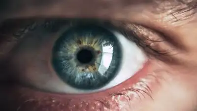 pexels.com, фото - Новости Zakon.kz от 14.04.2021 19:38