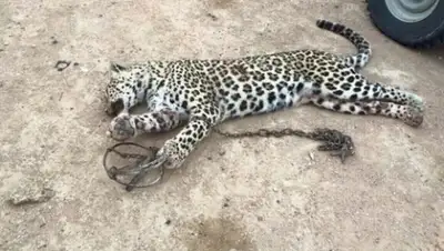 Zakon.kz, фото - Новости Zakon.kz от 19.05.2015 01:23