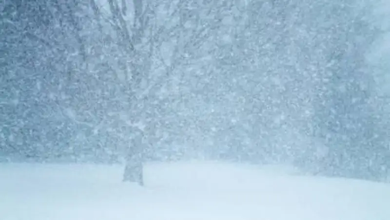 Сильный снегопад ожидается на Новый год в Казахстане