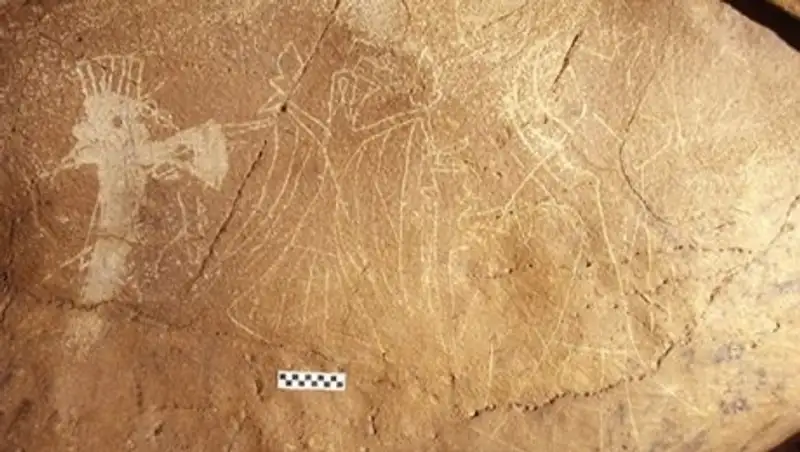 В Китае обнаружили наскальные изображения арабских скакунов