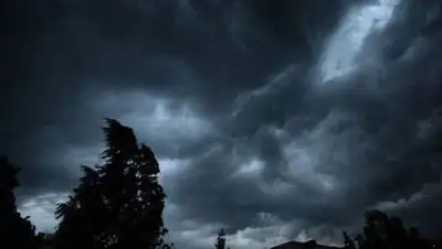 Zakon.kz, фото - Новости Zakon.kz от 10.08.2014 16:23