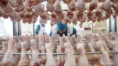 Zakon.kz, фото - Новости Zakon.kz от 04.06.2015 15:02