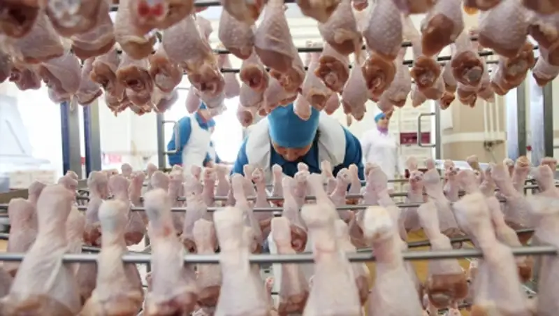 Россельхознадзор возможно запретит транзит мяса птицы из США в РК