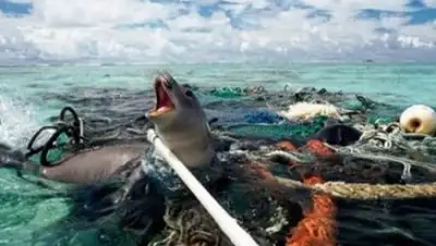 Zakon.kz, фото - Новости Zakon.kz от 15.12.2015 18:40