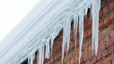 tomsk.ru, фото - Новости Zakon.kz от 26.01.2021 00:57