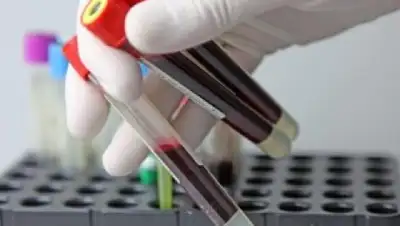 Zakon.kz, фото - Новости Zakon.kz от 08.02.2017 03:18