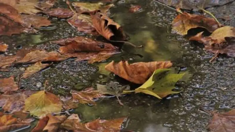 В восьми областях Казахстана объявлено штормовое предупреждение