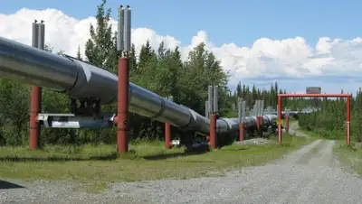 pixabay.com, фото - Новости Zakon.kz от 12.06.2019 15:12