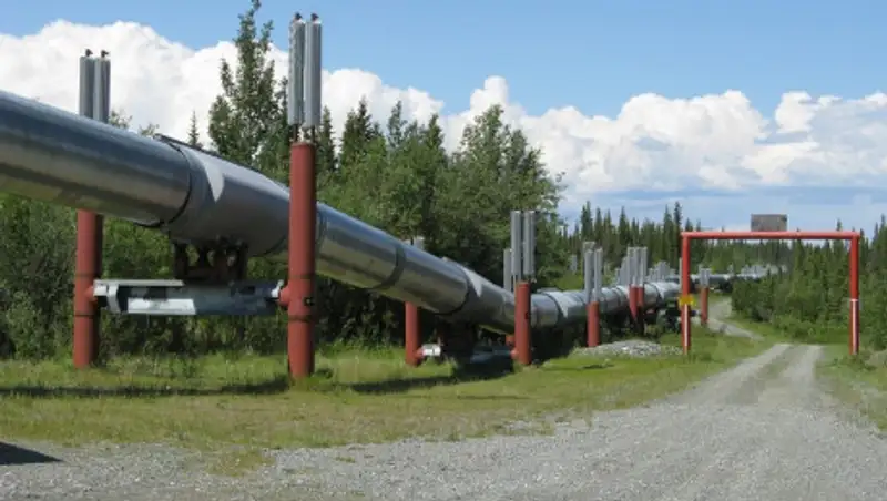 Еще 7 участков улицы Толе би перекроют этим летом в Алматы