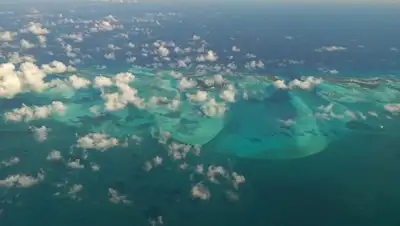 Zakon.kz, фото - Новости Zakon.kz от 17.05.2017 15:30