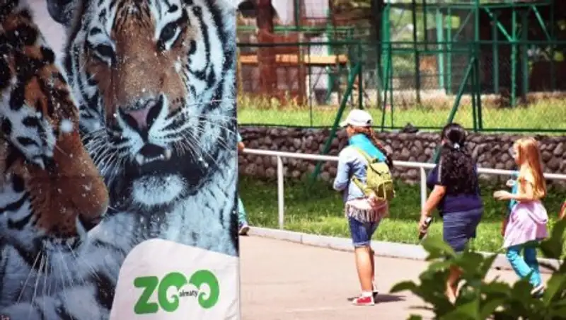 В зоопарке Алматы умерла рысь – вторая за полгода