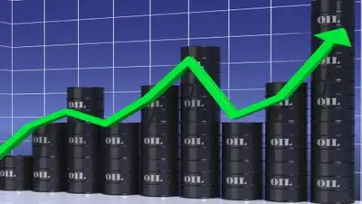 открытые источники, фото - Новости Zakon.kz от 08.01.2019 12:34