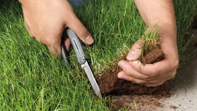 pixabay.com, фото - Новости Zakon.kz от 10.10.2019 11:41