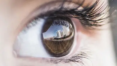 врач назвала полезные для глаз продукты, фото - Новости Zakon.kz от 13.01.2023 17:30