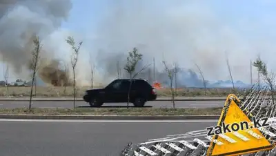 Zakon.kz, фото - Новости Zakon.kz от 11.08.2018 12:20