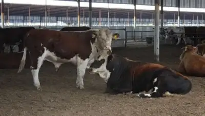 Zakon.kz, фото - Новости Zakon.kz от 25.04.2015 19:20