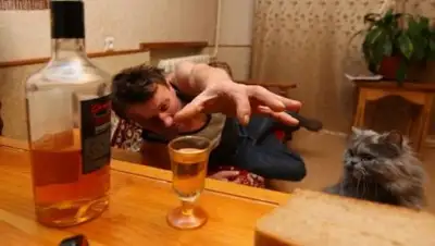 Zakon.kz, фото - Новости Zakon.kz от 15.02.2017 17:16