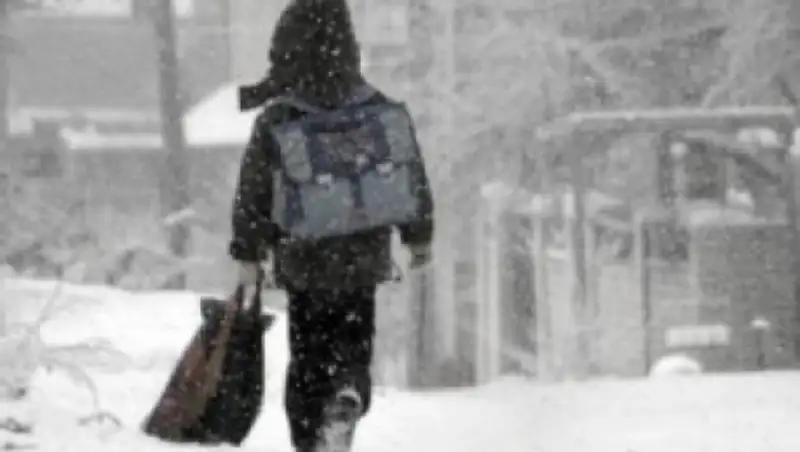 Памятка родителям об отмене занятий в школе в морозные дни