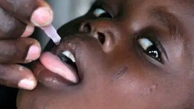 Zakon.kz, фото - Новости Zakon.kz от 12.08.2016 07:39