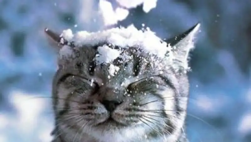 Снежная пятница ожидает казахстанцев