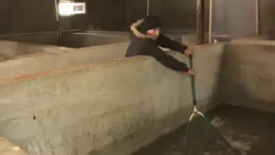 Zakon.kz, фото - Новости Zakon.kz от 06.03.2017 16:56