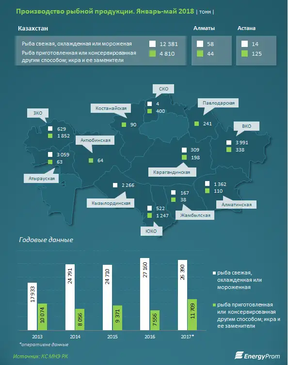 , фото - Новости Zakon.kz от 26.06.2018 10:35