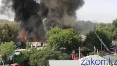 Zakon.kz, фото - Новости Zakon.kz от 22.07.2019 12:00