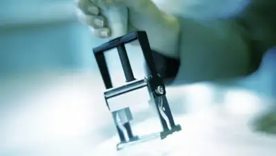 Zakon.kz, фото - Новости Zakon.kz от 05.01.2015 02:03