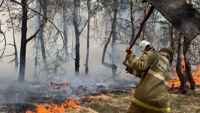 В Костанайской области продолжается борьба с пожарами – комиссия подсчитывает ущерб, фото - Новости Zakon.kz от 04.09.2022 18:55
