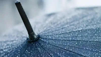 Zakon.kz, фото - Новости Zakon.kz от 02.04.2017 12:01