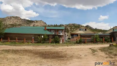 pavon.kz, фото - Новости Zakon.kz от 13.08.2020 17:49