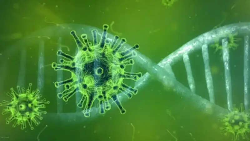 Названы новые зоны очагов коронавируса в Алматы