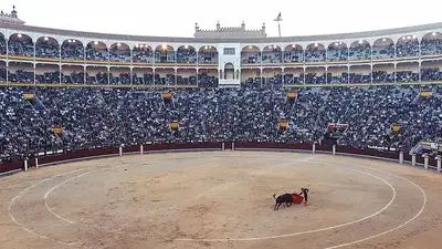 бык, фото - Новости Zakon.kz от 09.07.2023 23:36