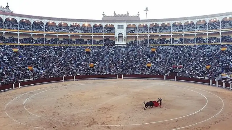 В Испании во время забега с быками пострадали люди