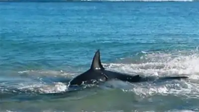 Zakon.kz, фото - Новости Zakon.kz от 02.10.2014 18:49