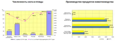 Zakon.kz, фото - Новости Zakon.kz от 11.04.2018 09:07