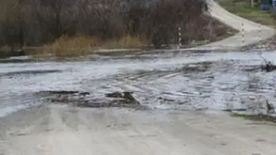 Zakon.kz, фото - Новости Zakon.kz от 03.12.2016 23:29