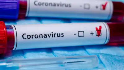 zakon.kz., фото - Новости Zakon.kz от 25.07.2020 11:06